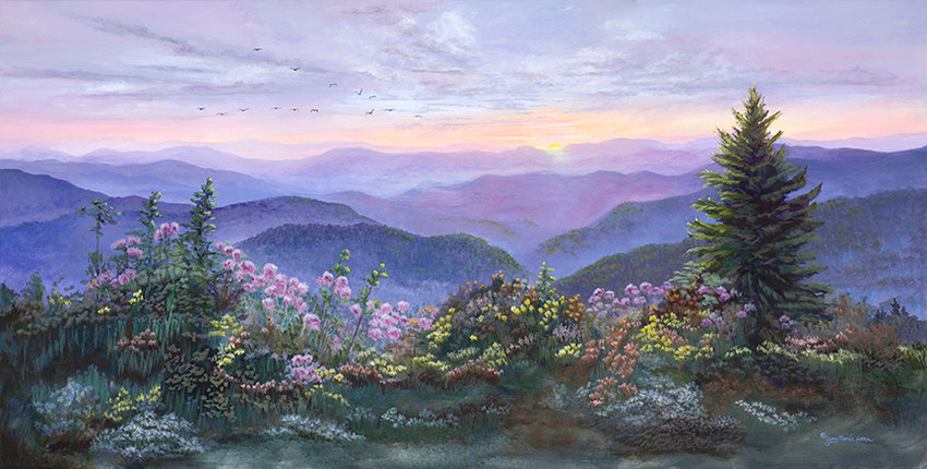 Somwhere on the Parkway
