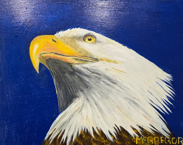 Eagle Eye