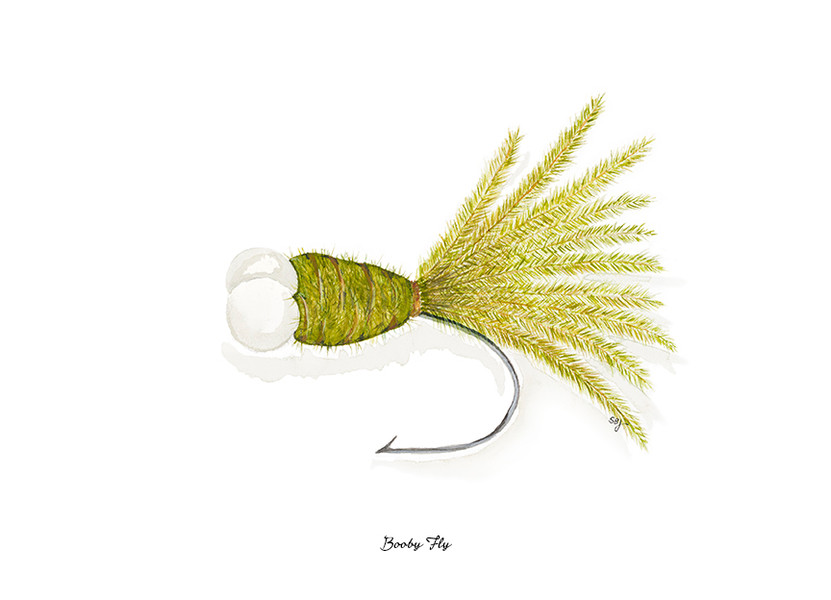 Booby Fly - Giclée
