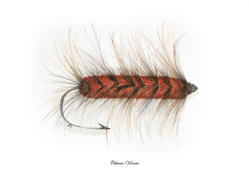 Palmer Worm Fly - Giclée