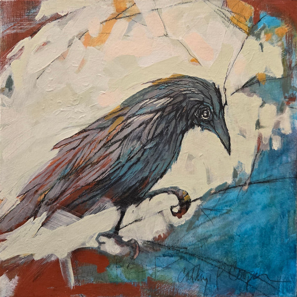 Curious Crow