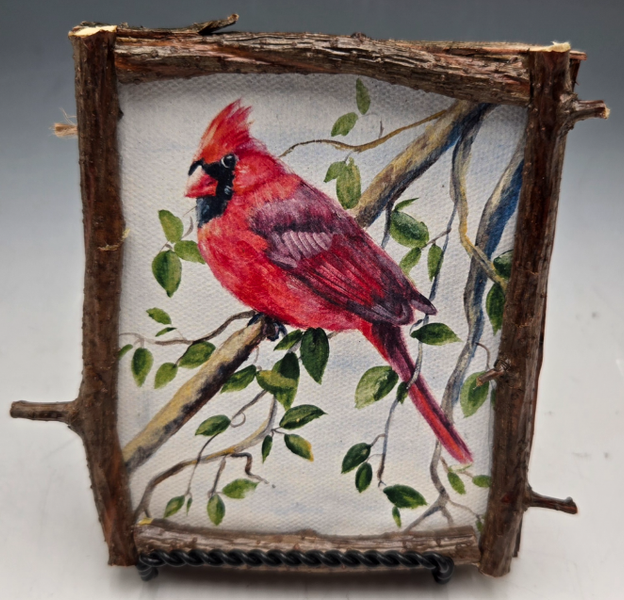 659 - Cardinal C