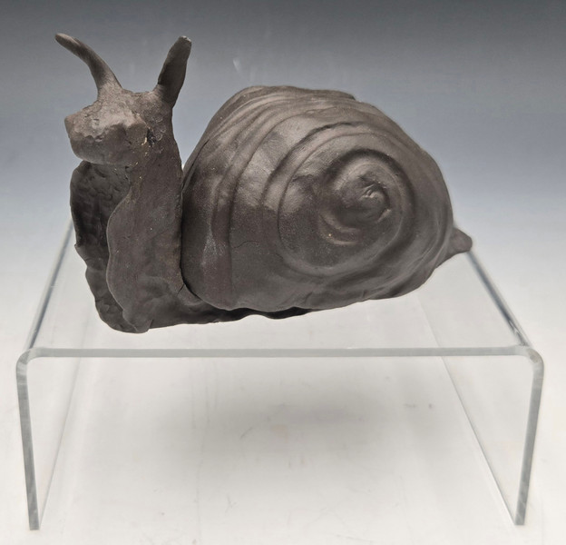 Snail with Removeable Shell