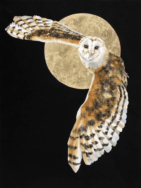 Luna's Flight