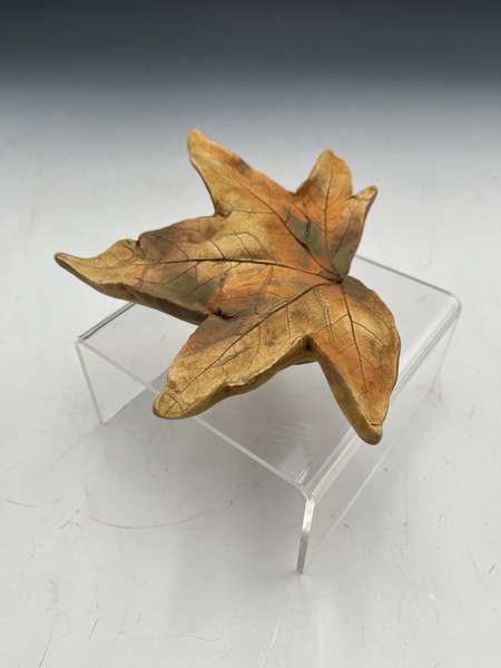 219 - Spirit Leaf, Sweet Gum