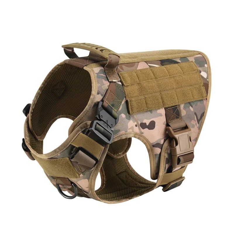 Militärselen — Kamouflage