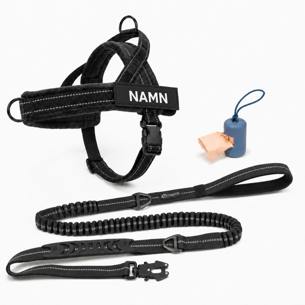 Dog Control Pro V1 — Black / No-Pull Bundle