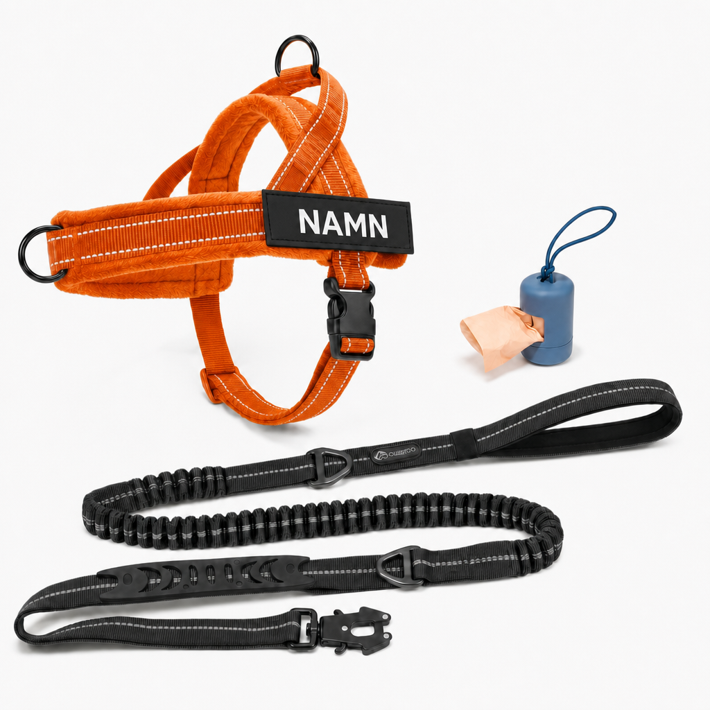 Dog Control Pro V1 — Orange / No-Pull Bundle