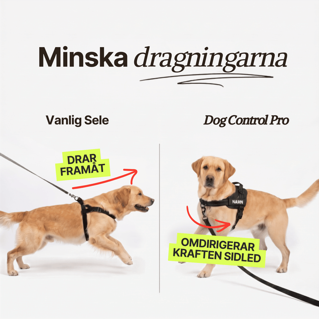 Dog Control Pro V1