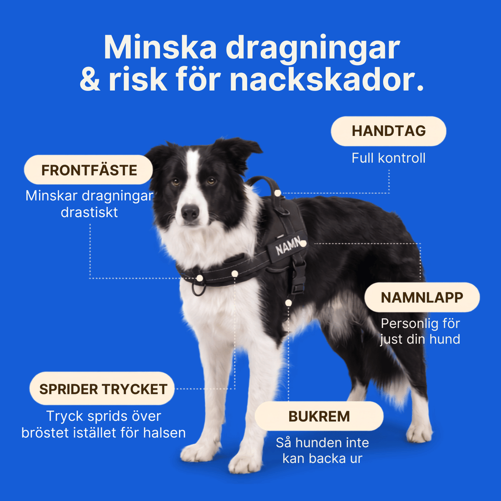Dog Control Pro V1
