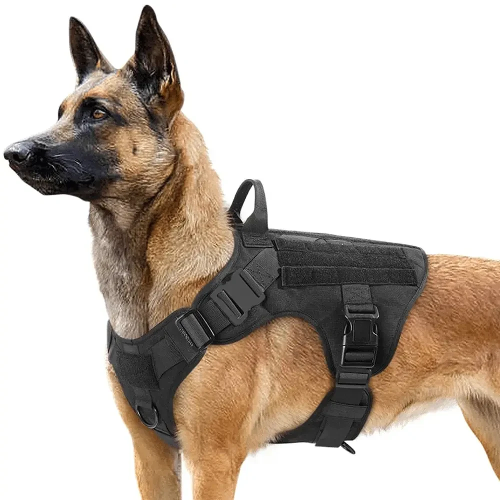 Militärselen Bundle