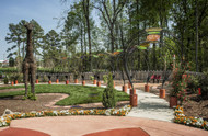 Best Kept Secrets in the Triad: Hidden Gems Worth Discovering