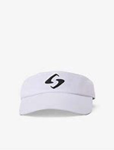 GBVISOR