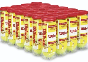 Wilson Championship Extra Duty Tennis Balls — Case of 24 Cans (3-ball)