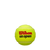 WRT107300 Wilson Tennis balls Cases Us Open Regular Duty Extra Duty  WRT107300 Wilson Tennis balls Cases Us Open Regular Duty Extra Duty