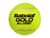 Babolat championship all court