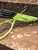 HEAD Extreme Team 2026 Tennis Racquet — view 3