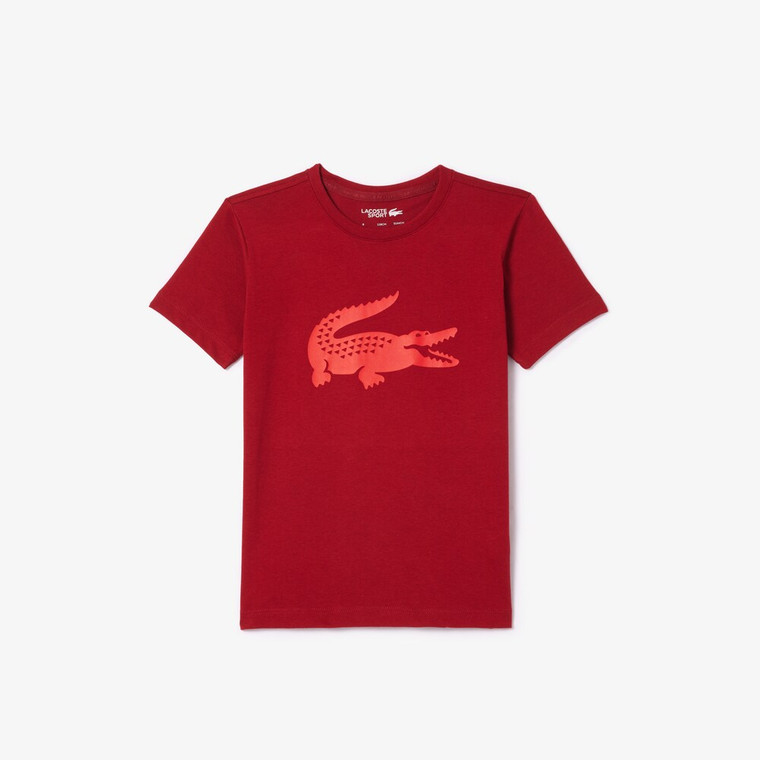 Lacoste Junior Tee-1758160731