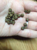 1/2lb Premium Monster Fish Food 5mm Floating Pellet