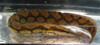 Tire Track Eel