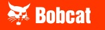 Bobcat