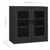  Office Cabinet Anthracite Steel, tempered glass