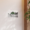 Beauty Among Ruins - Photographic Print