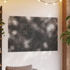 The Webs We Weave - Photographic Print