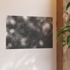 The Webs We Weave - Photographic Print