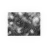 The Webs We Weave - Photographic Print