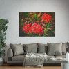 Red Spiders - Photographic Print