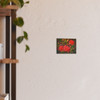 Red Spiders - Photographic Print