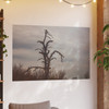 Lonely Oak - Photographic Print