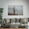 Lonely Oak - Photographic Print