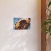 Beauty's Decay - Photographic Print