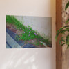 Nature Reclaiming - Photographic Print