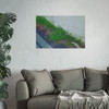Nature Reclaiming - Photographic Print