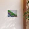 Nature Reclaiming - Photographic Print