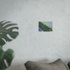 Nature Reclaiming - Photographic Print