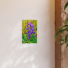 Lupine Love - Photographic Print