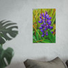 Lupine Love - Photographic Print