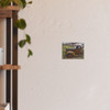 Retired - Photographic Print