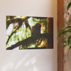 Watchful Kami - Photographic Print
