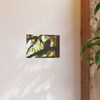 Watchful Kami - Photographic Print