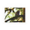 Watchful Kami - Photographic Print