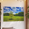 Sunny Day - Photographic Print