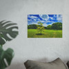 Sunny Day - Photographic Print