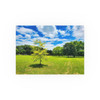 Sunny Day - Photographic Print