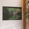 Under the Bridge - Photographic Print