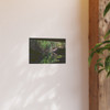 Under the Bridge - Photographic Print